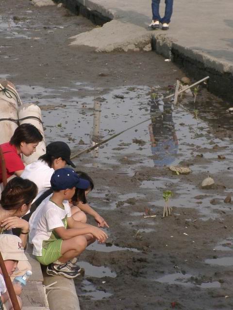 看螃蟹