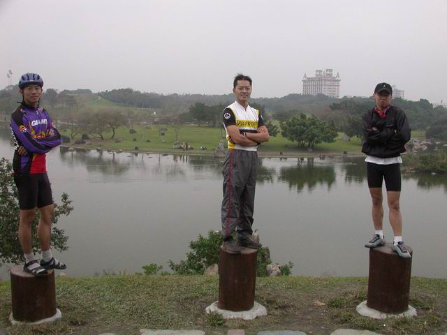 羅東運動公園的木樁