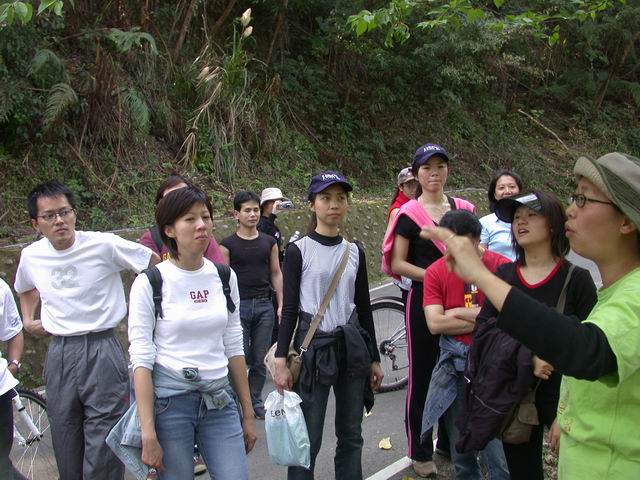 內灣山路