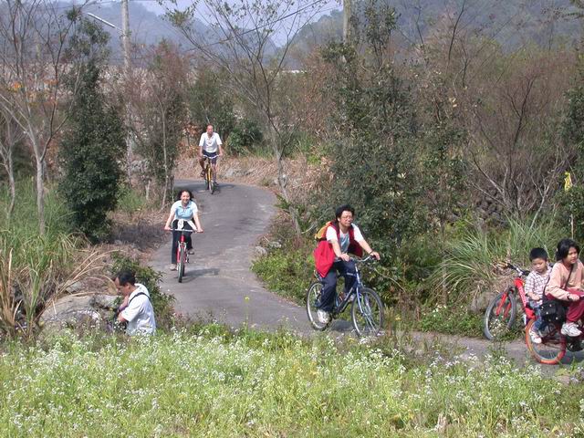 鄉間小路