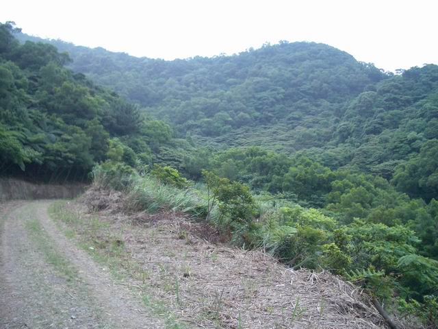 產業道路