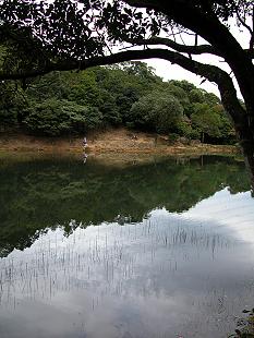 夢湖