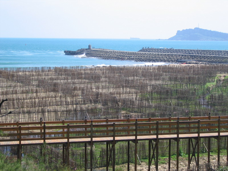 北海岸