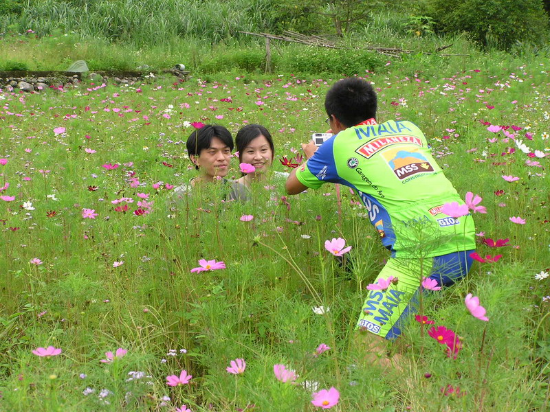 花海中照相