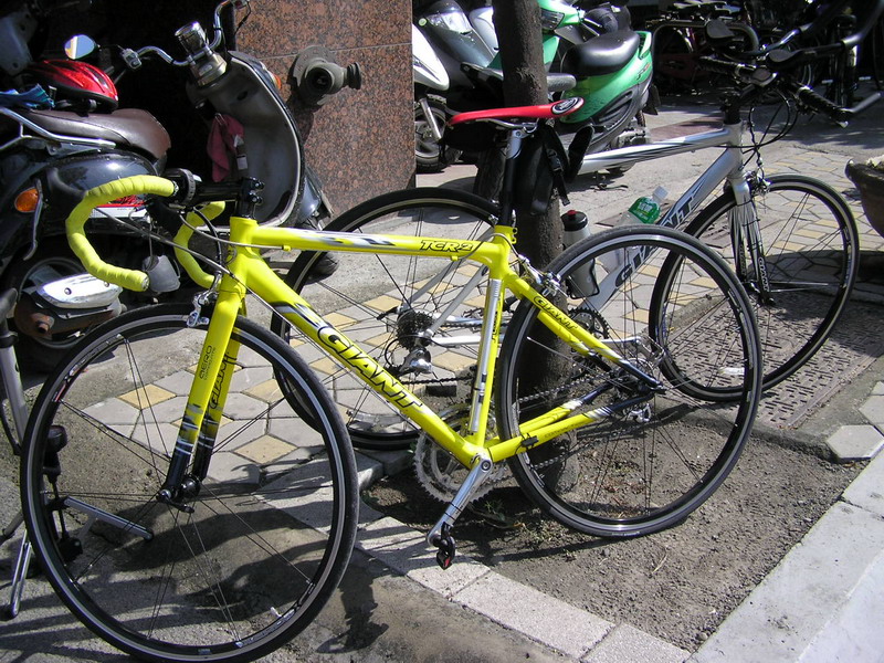 祺甯的單車