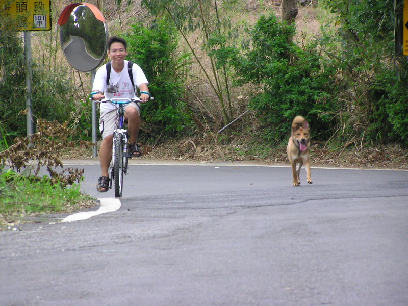 志全與小黃