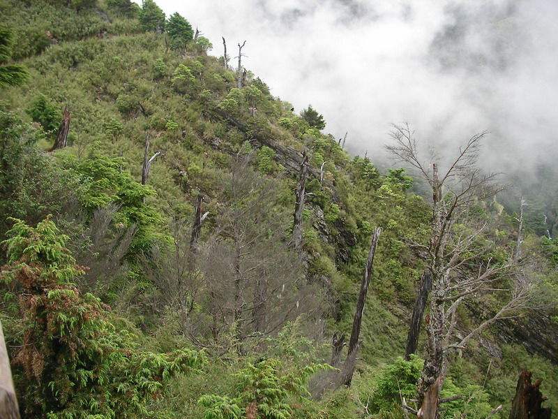 玉山