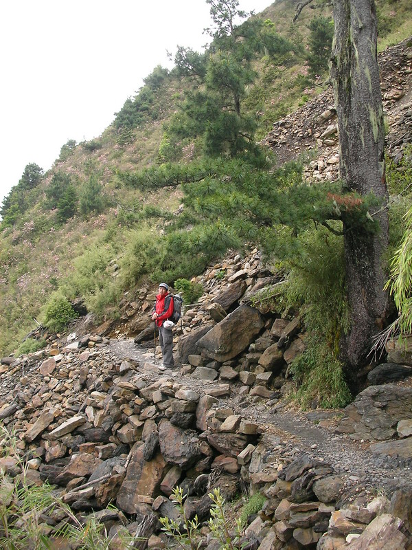 簡先生