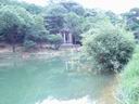 夢湖