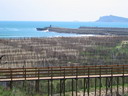 北海岸