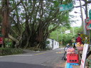 101甲公路起點