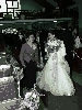 Brandy&婆婆